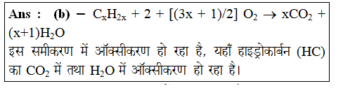 answer image